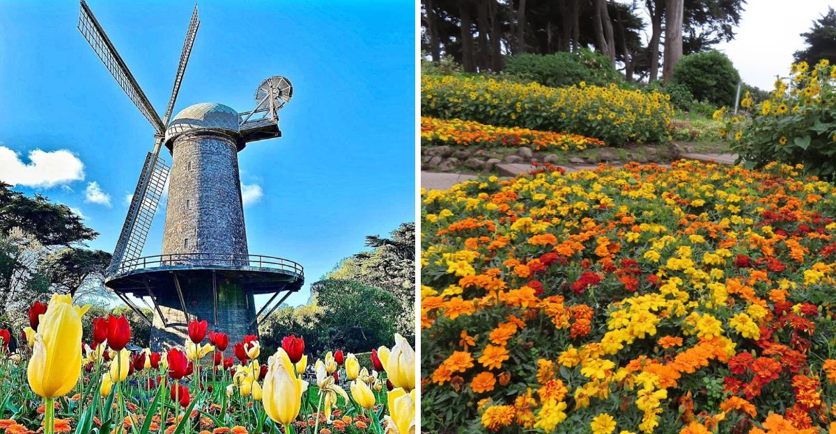 This Hidden California Garden Feels Like A Real Life Fairy Tale