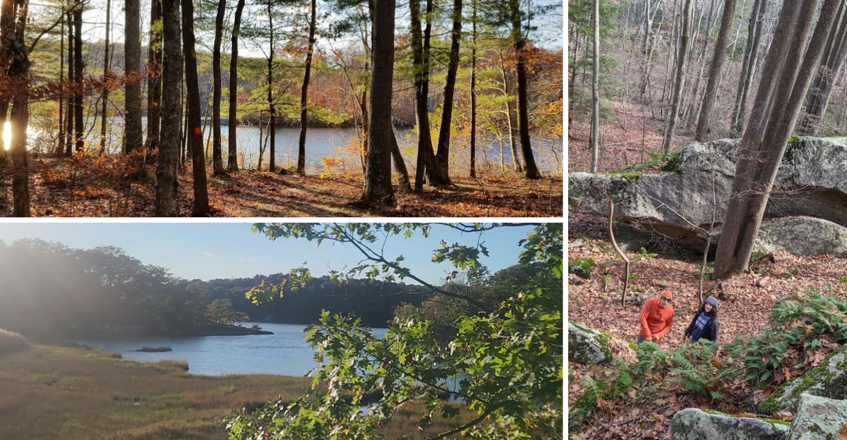 This Hidden Connecticut Forest Feels Untouched By Time