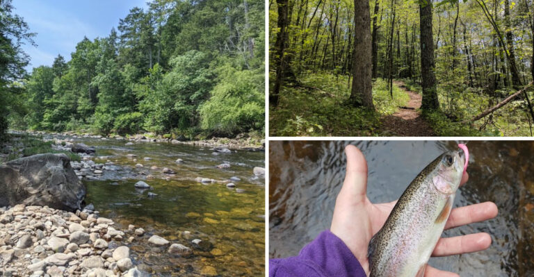 This Hidden Connecticut State Forest Is One Of The State’s Best Nature Escapes
