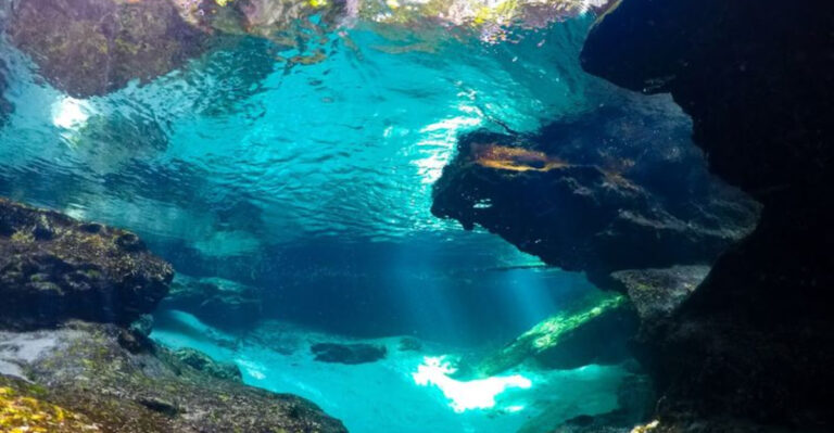 This Hidden Florida Lazy River Has Crystal-Clear Water You Have To See To Believe
