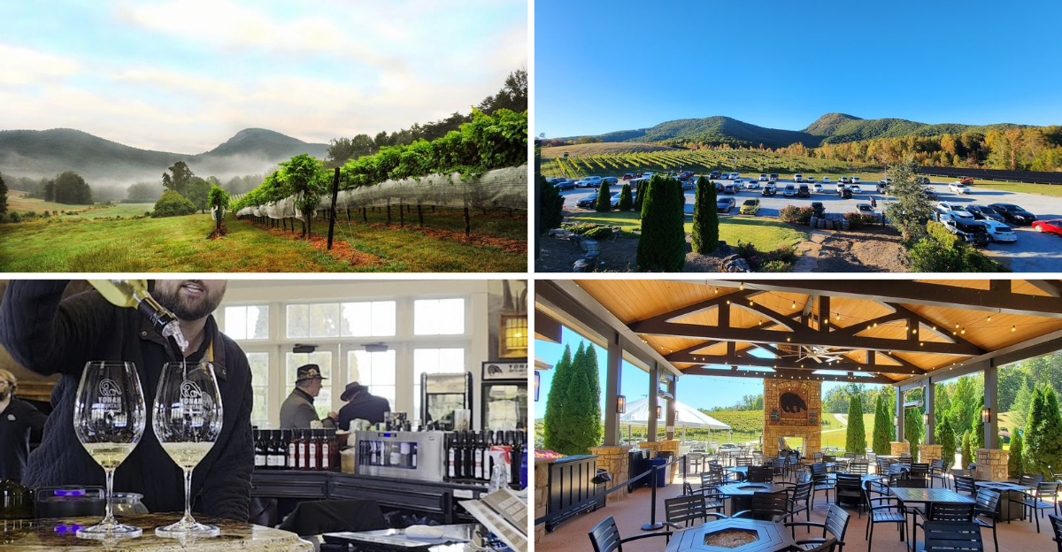 This Hidden Georgia Wine Cave Is One Of The States Best Kept Secrets