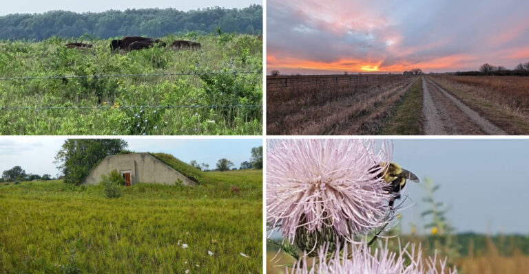 This Hidden Illinois Nature Preserve Is One Of The State’s Most Beautiful Escapes