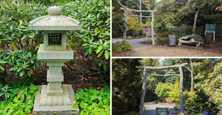 This Hidden Japanese Garden In Massachusetts Feels Like A Studio Ghibli Film Come To Life
