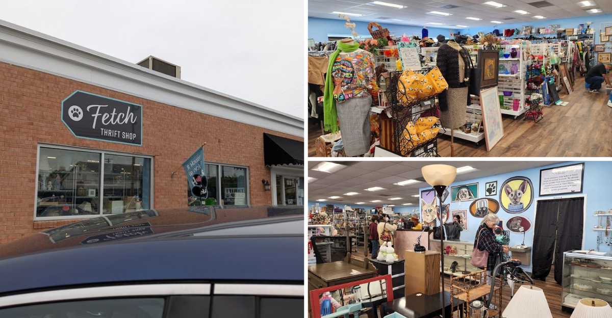 This Hidden Maryland Thrift Store Is A Gold Mine For Bargain Hunters