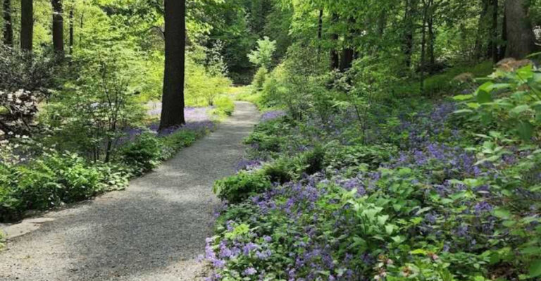 This Hidden Massachusetts Garden Trail Feels Like A Secret Escape Into Nature