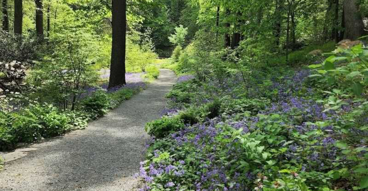This Hidden Massachusetts Garden Trail Feels Like A Secret Escape Into Nature