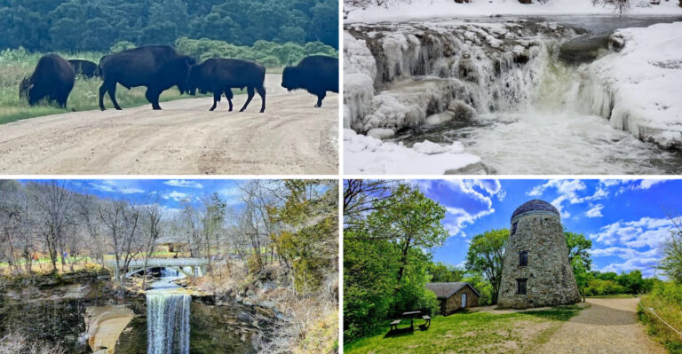 This Hidden Minnesota State Park Is One Of The Few Places You Can See Wild Bison Up Close