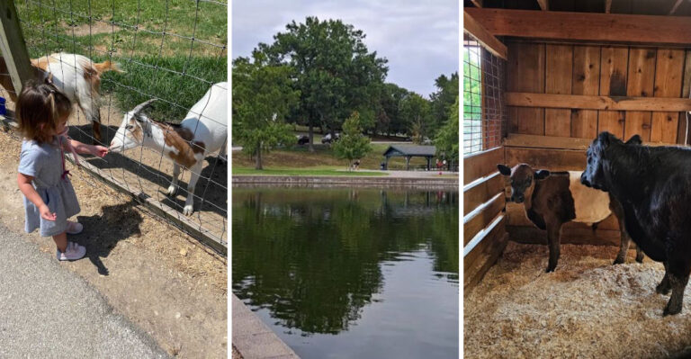 This Hidden Missouri County Park Is One Of The State’s Best Nature Escapes