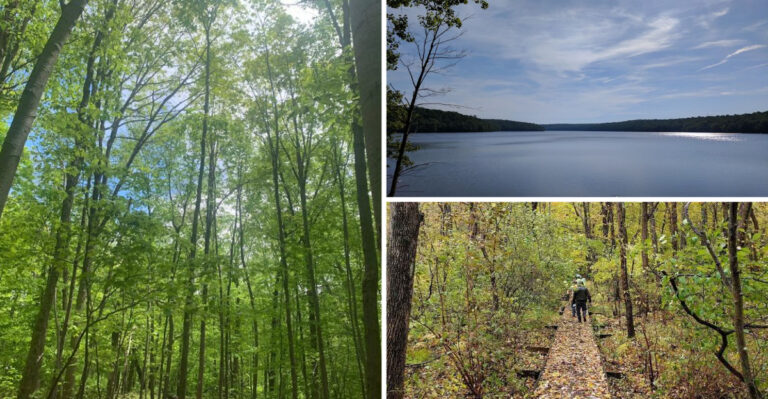 This Hidden New Jersey State Park Is One Of The State’s Best Hidden Gems