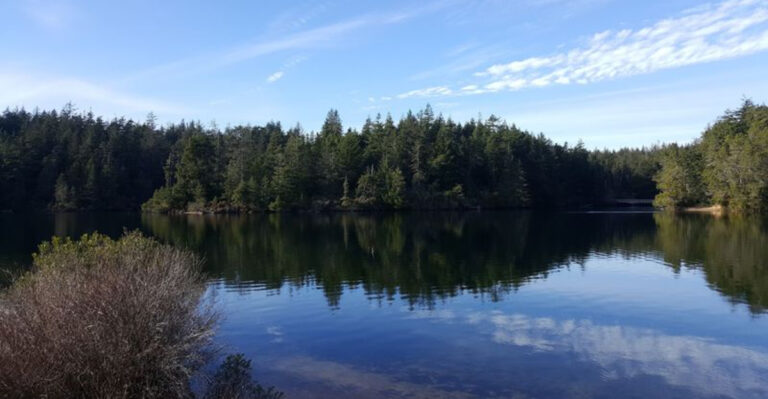 This Hidden Oregon Beach Has Water So Clear, It Doesn’t Feel Like The Pacific Northwest