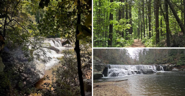 This Hidden South Carolina Beach Is Home To An Incredible Waterfall Few People Know About
