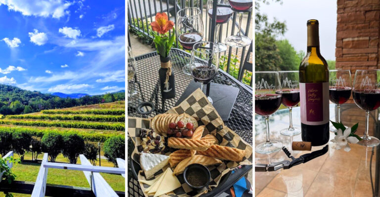This Hidden South Carolina Winery Is One Of The State’s Most Beautiful Day Trip Destinations