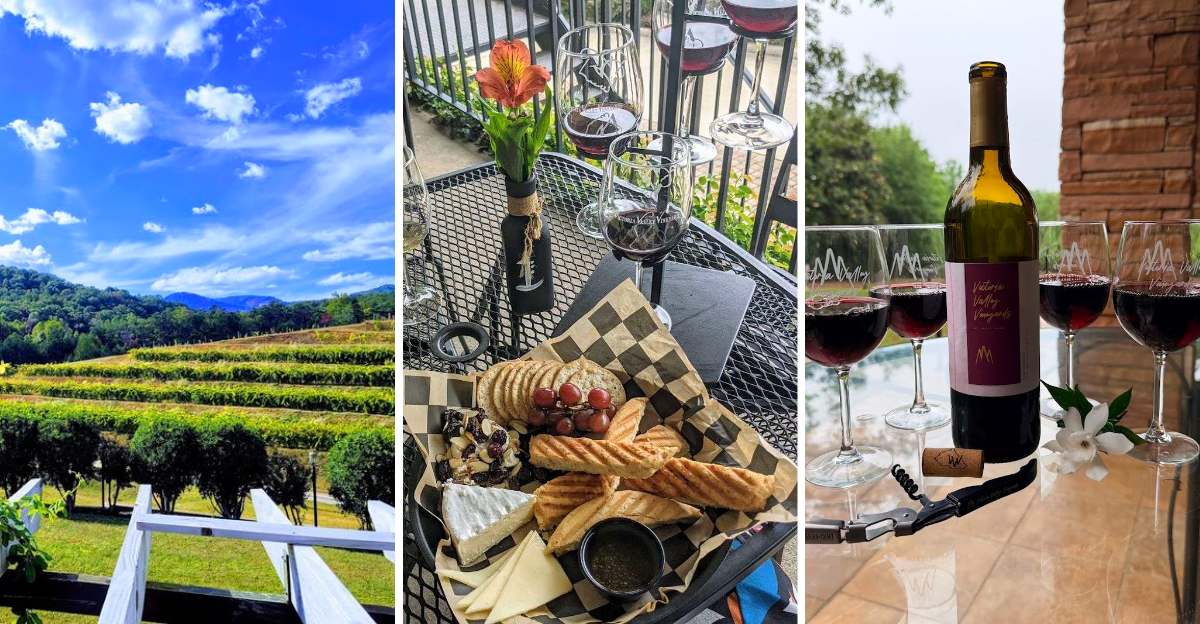 This Hidden South Carolina Winery Is One Of The States Most Beautiful Day Trip Destinations