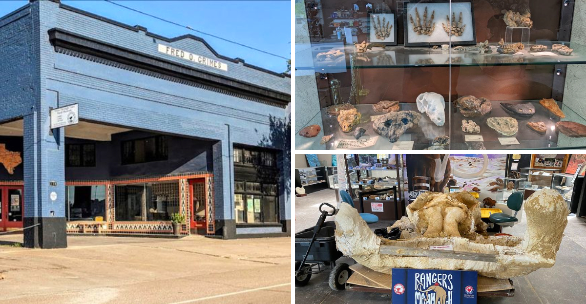 This Hidden Texas Dinosaur Museum Is Home To Hundreds Of Incredible Fossils