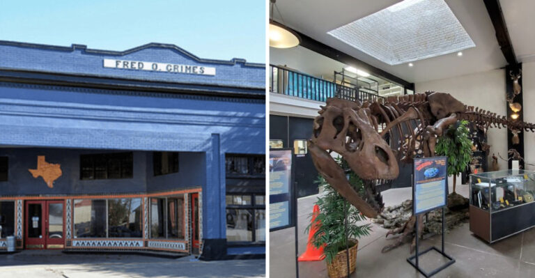 This Hidden Texas Dinosaur Museum Is Packed With Fossils You Won’t Believe Are Real