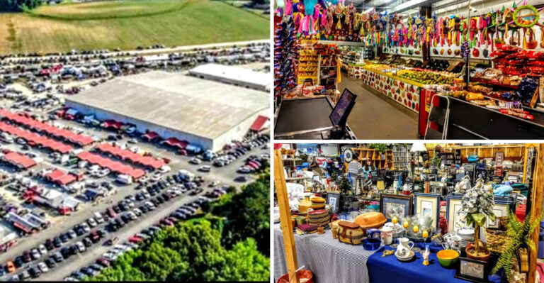 This Huge North Carolina Flea Market Is Filled With Rare Treasures And Unbeatable Bargains