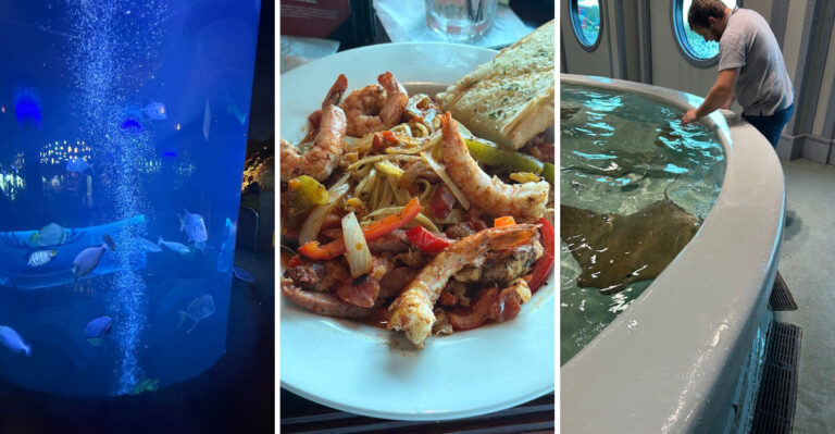 This Incredible Texas Restaurant Lets You Dine Surrounded By Hundreds Of Swimming Fish