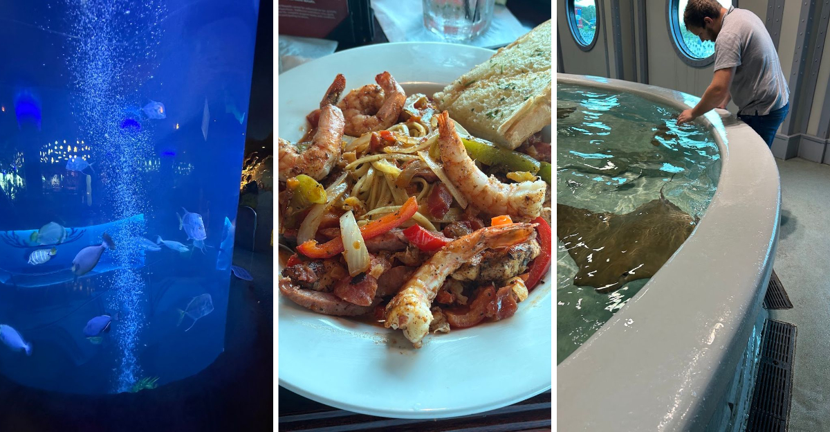 This Incredible Texas Restaurant Lets You Dine Surrounded By Hundreds Of Swimming Fish