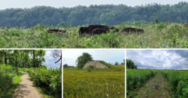 This Massive Illinois Nature Preserve Is One Of The Midwest’s Great Outdoor Escapes