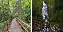 This Mysterious Stairway In North Carolina Ends At A Hidden Woodland Escape