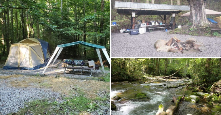 This North Carolina Horse Camp Offers Peaceful Mountain Trails And The Kind Of Getaway Nature Lovers Dream About