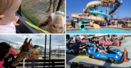 This Ohio Attraction Combines A Water Park And Animal Safari Into One Incredible Adventure