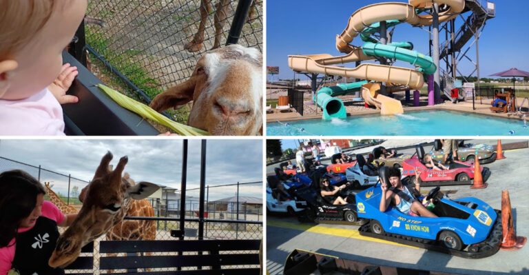 This Ohio Attraction Combines A Water Park And Animal Safari Into One Incredible Adventure