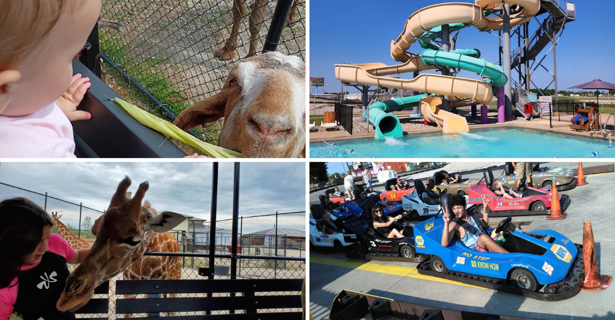 This Ohio Attraction Combines A Water Park And Animal Safari Into One Incredible Adventure