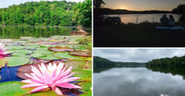 This Ohio State Park Is A Peaceful Escape With A Scenic Lake, Forest Trails, And Plenty Of Room To Unwind