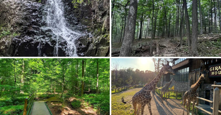This One-Of-A-Kind New Jersey Park Is Packed With Adventures The Whole Family Will Love