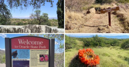This Overlooked 4,000-Acre Arizona State Park Deserves A Spot On Your Bucket List