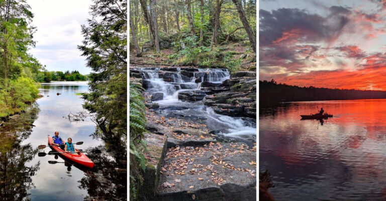 This Overlooked Pennsylvania State Park Is A Paradise For Nature Enthusiasts