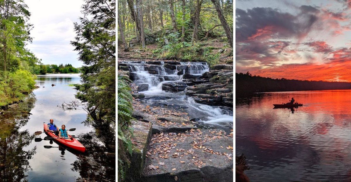 This Overlooked Pennsylvania State Park Is A Paradise For Nature Enthusiasts