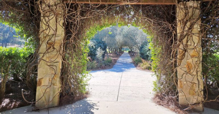 This Peaceful Florida Park Was Named One Of America’s Most Tranquil Places