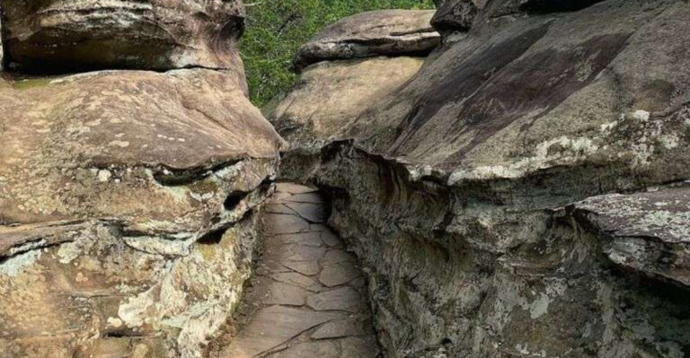 This Peaceful Illinois Escape Feels Like It’s A World Away From Everything