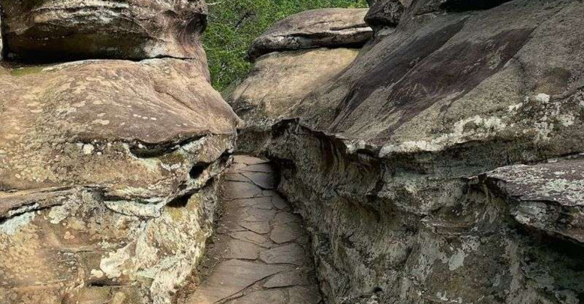 This Peaceful Illinois Escape Feels Like It’s A World Away From Everything