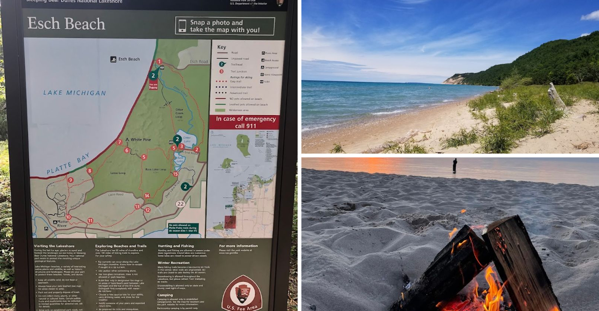 This Peaceful Michigan Beach Is One Of The States Most Beautiful Places To Unwind