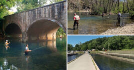 This Peaceful Missouri State Park Is One Of The State’s Best Hidden Escapes
