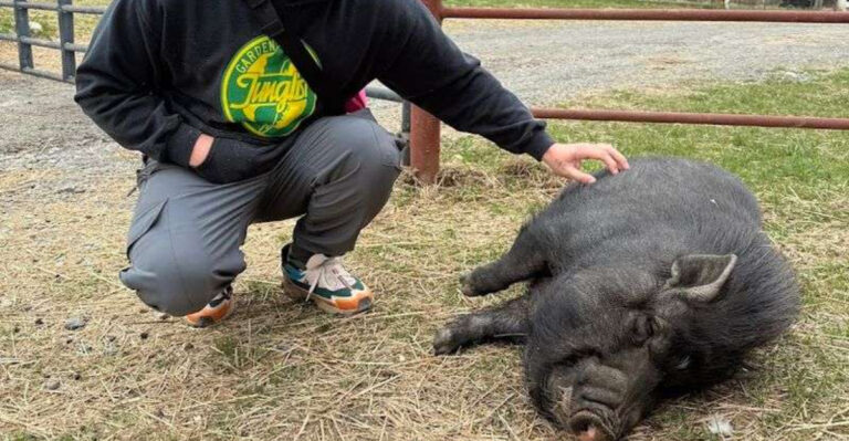 This Peaceful New Jersey Nature Preserve Lets You Get Up Close With Baby Farm Animals