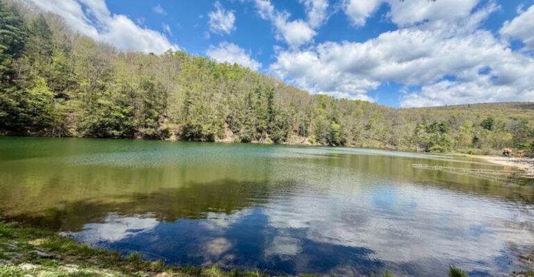 This Pennsylvania Swimming Hole Is A Summer Tradition Families Never Outgrow