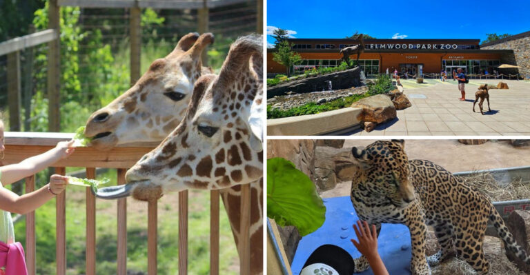 This Pennsylvania Zoo Is So Massive, You Could Spend The Entire Day Exploring