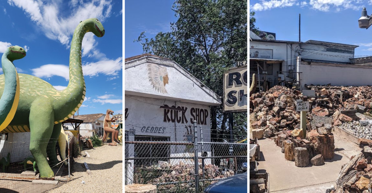 This Quirky Arizona Museum Is Easily The Strangest Roadside Attraction You’ll Ever Visit