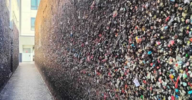 This Quirky California Alley Has Over 1 Million Pieces Of Chewed Gum Stuck To Its Walls