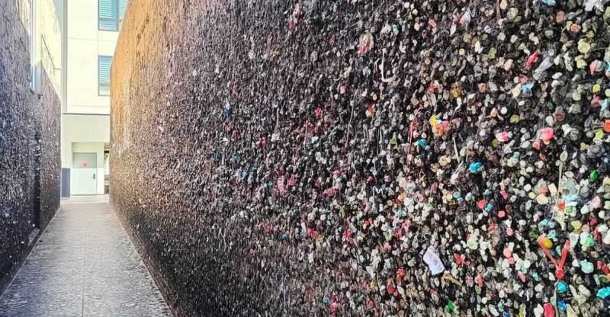 This Quirky California Alley Has Over 1 Million Pieces Of Chewed Gum Stuck To Its Walls