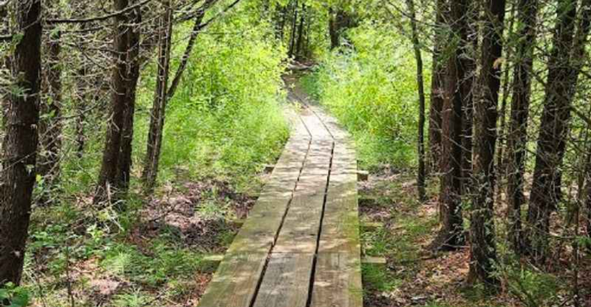 This Remote Wisconsin Nature Preserve Is the ideal Place to Disappear for A Day