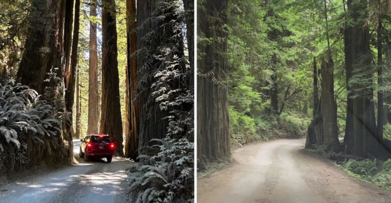 This Scenic 10-Mile California Drive Is One You’ll Be Talking About Long After The Trip Ends