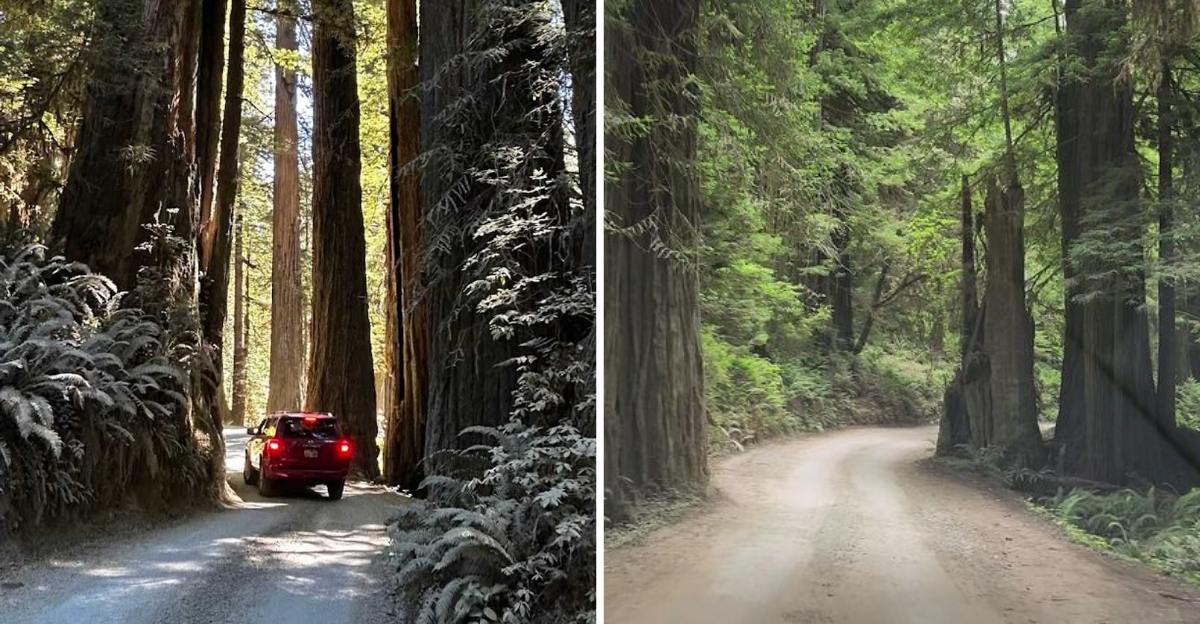This Scenic 10 Mile California Drive Is One Youll Be Talking About Long After The Trip Ends