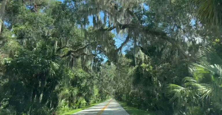 This Scenic 34-Mile Florida Drive Is One Road Trip You’ll Never Want To End