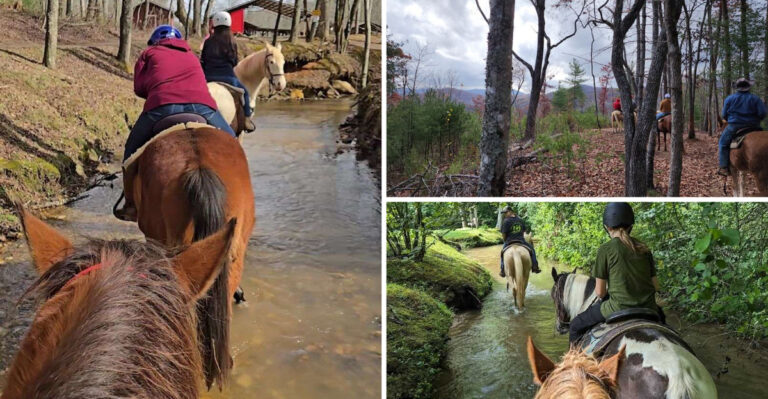 This Scenic Georgia Horseback Ride Takes You Past Waterfalls And Mountain Views