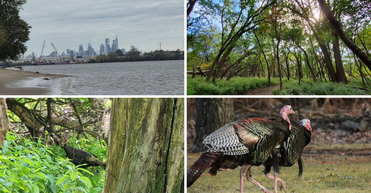 This Scenic New Jersey Waterfront Park Is The Perfect Place To Spend An Entire Day Outdoors